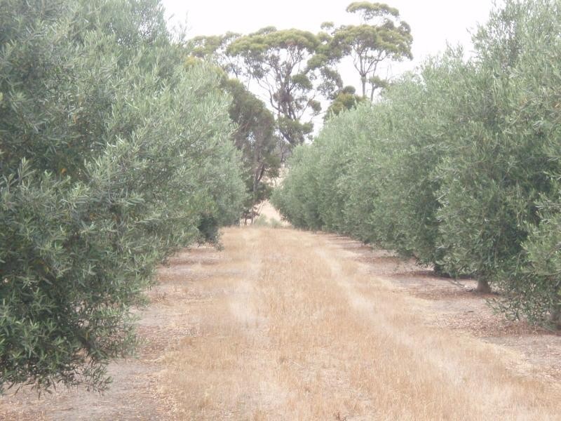 Mount Barker WA 6324