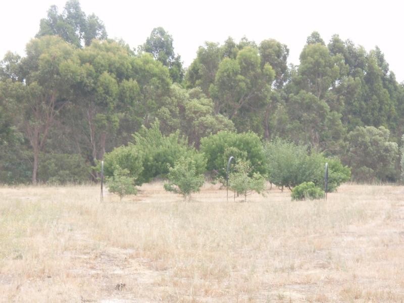 Mount Barker WA 6324