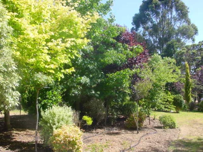 Mount Barker WA 6324