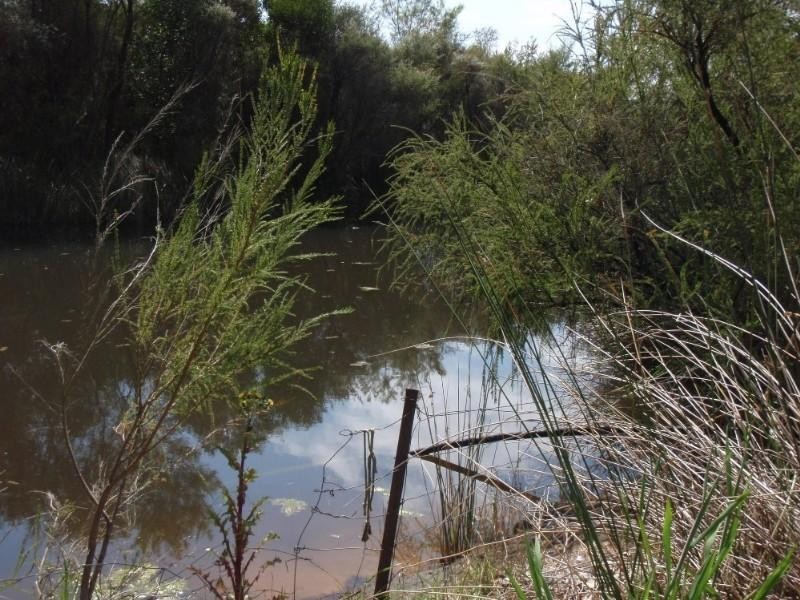 Mount Barker WA 6324