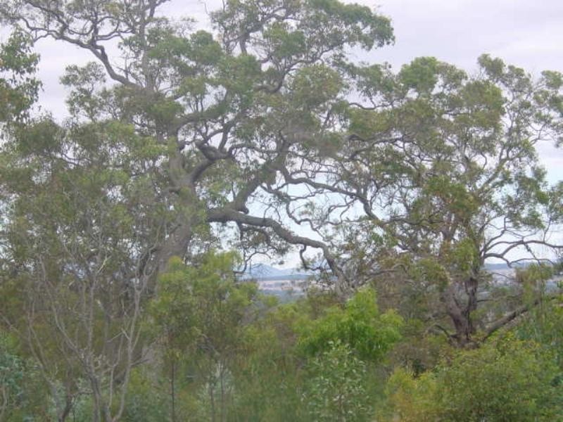 Mount Barker WA 6324