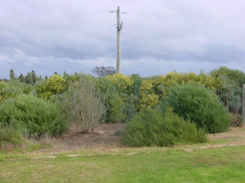 Mount Barker WA 6324