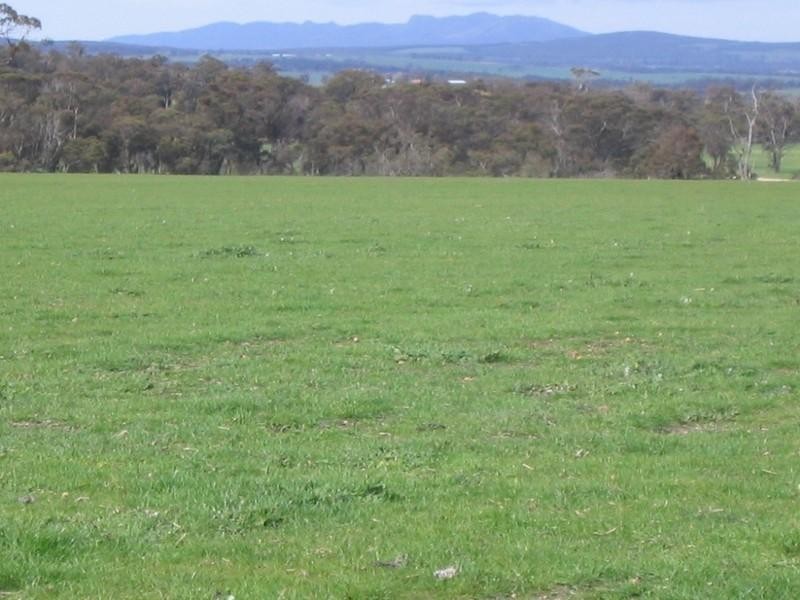 Loc 27 Carbarup Road, Kendenup WA 6323