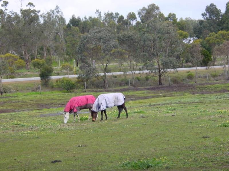 Mount Barker WA 6324