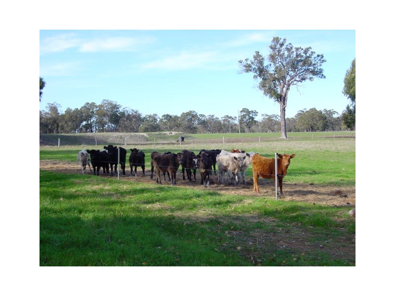 Mount Barker WA 6324