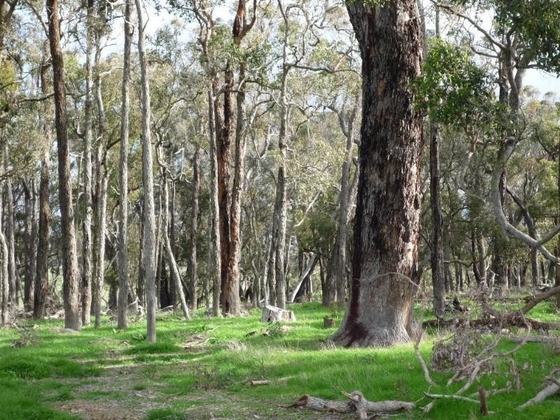 Mount Barker WA 6324