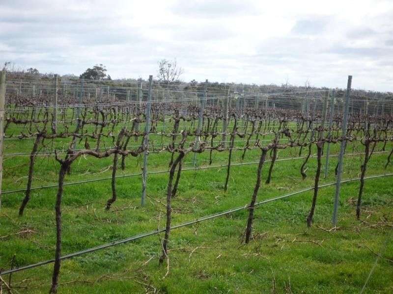 Mount Barker WA 6324