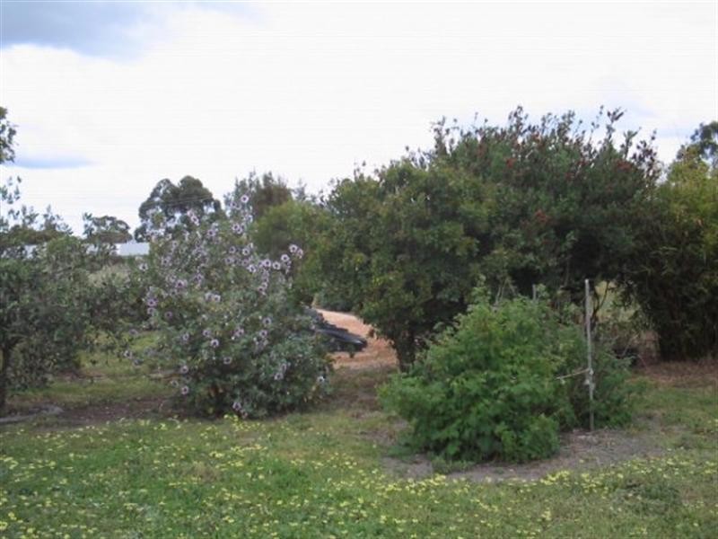 107 Third Avenue, Kendenup WA 6323