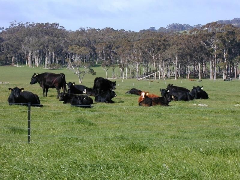 Mount Barker WA 6324