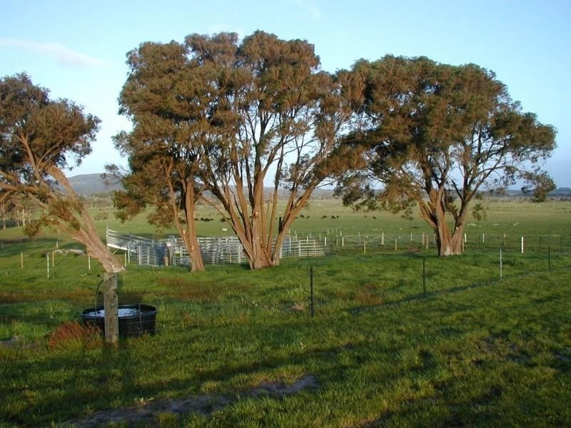 Mount Barker WA 6324