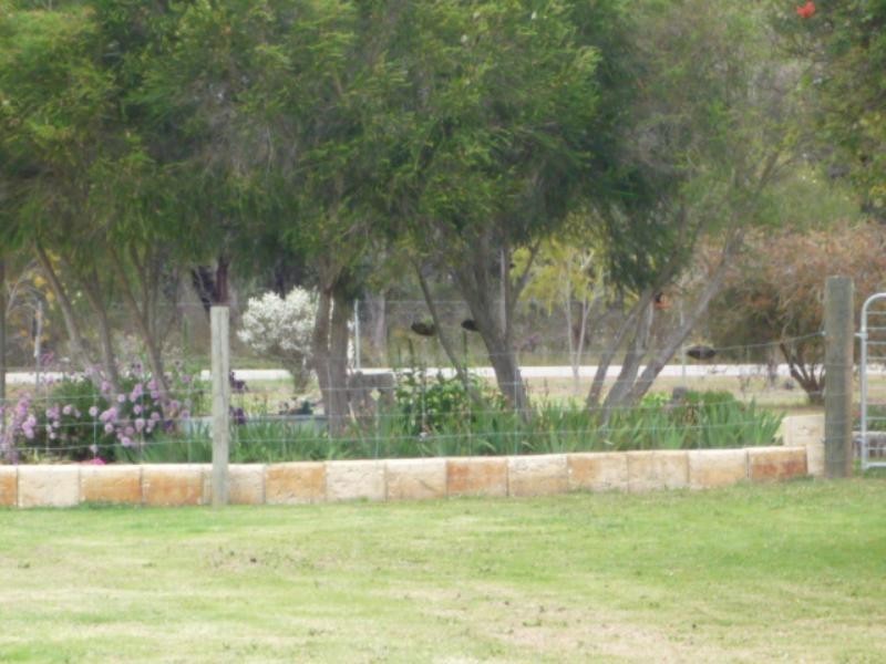 Mount Barker WA 6324