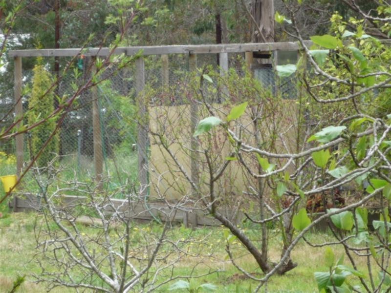 266 Ormond Road, Mount Barker WA 6324