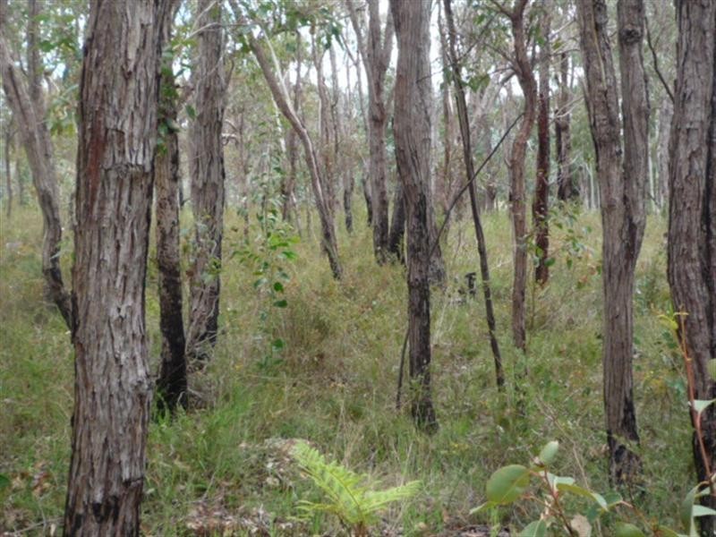 266 Ormond Road, Mount Barker WA 6324