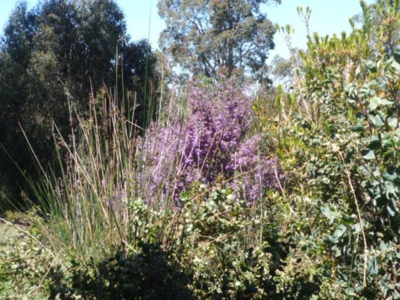 Mount Barker WA 6324