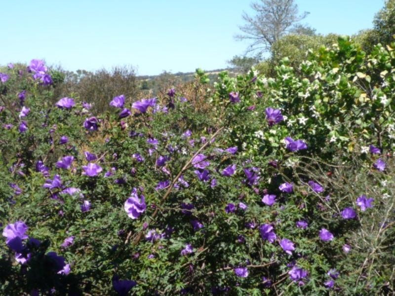 Mount Barker WA 6324