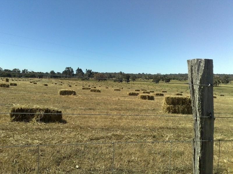 1059 Rocky Gully Road, Rocky Gully WA 6397