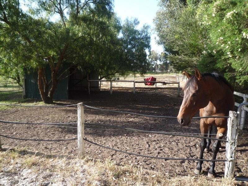 Mount Barker WA 6324