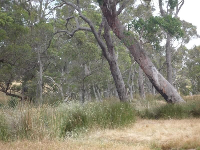 Mount Barker WA 6324