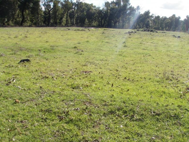 Lot 803 Faulkner Court, Porongurup WA 6324