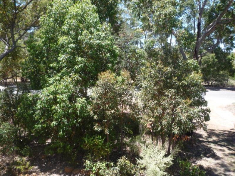 Mount Barker WA 6324