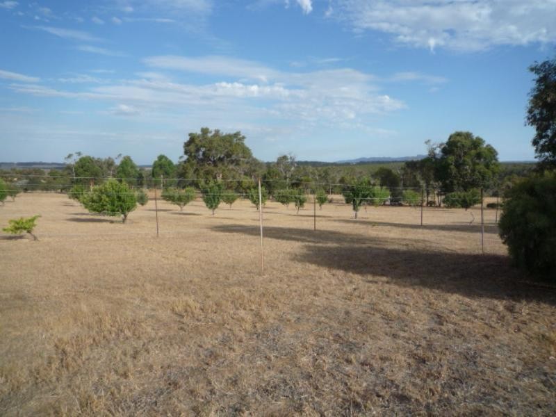 Mount Barker WA 6324