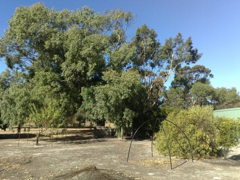 2 Grantham Street, Cranbrook WA 6321