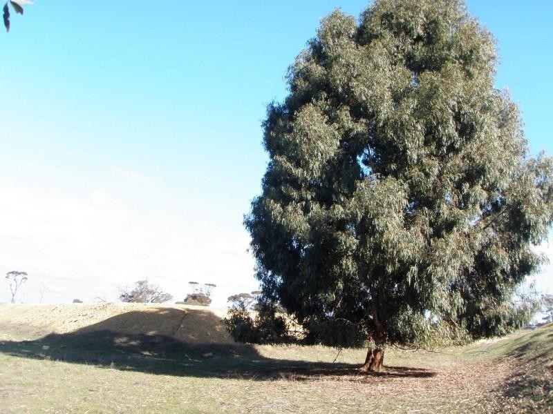 520 Harwood Road, Kendenup WA 6323