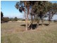 520 Harwood Road, Kendenup WA 6323
