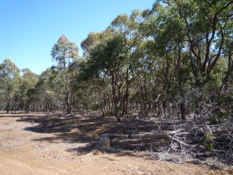 Mount Barker WA 6324