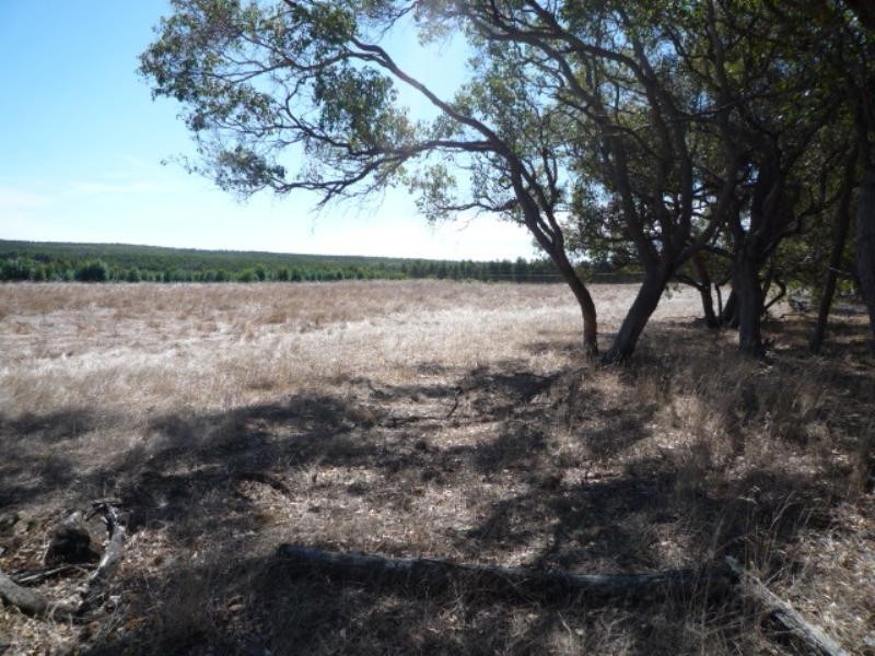 Mount Barker WA 6324