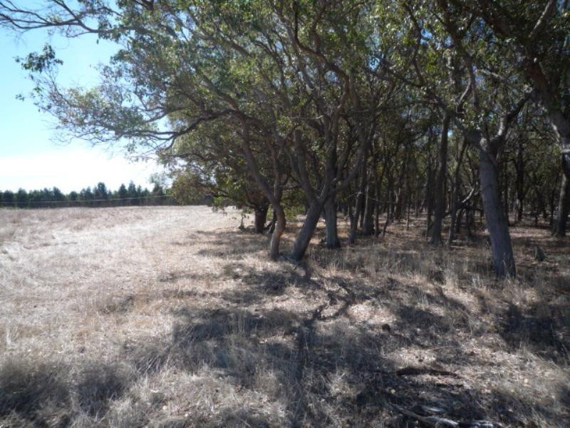 Mount Barker WA 6324