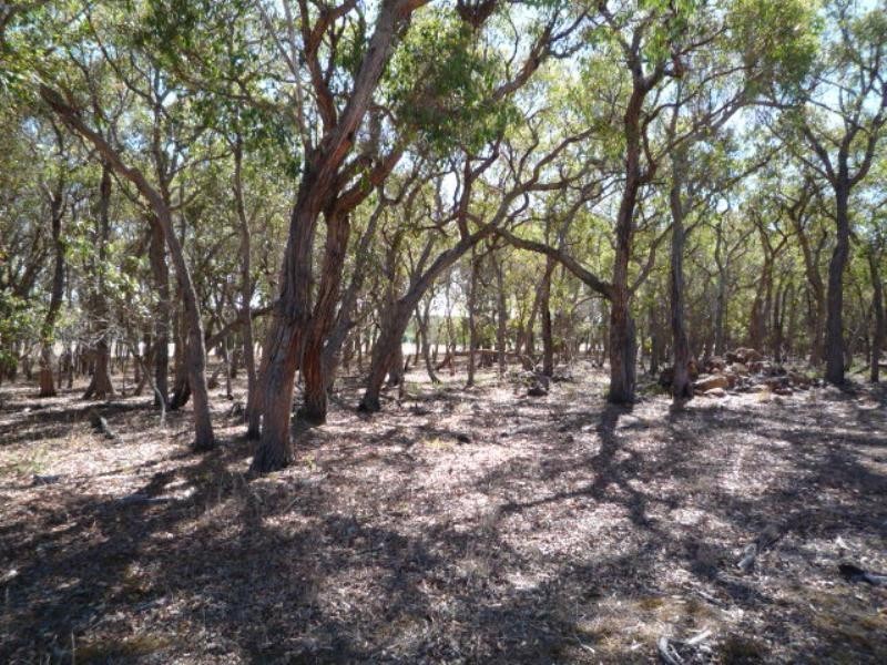 Mount Barker WA 6324
