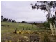 Lot 831 Moorilup Road, Kendenup WA 6323