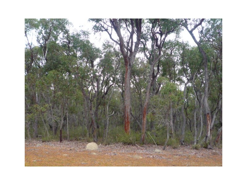 Mount Barker WA 6324