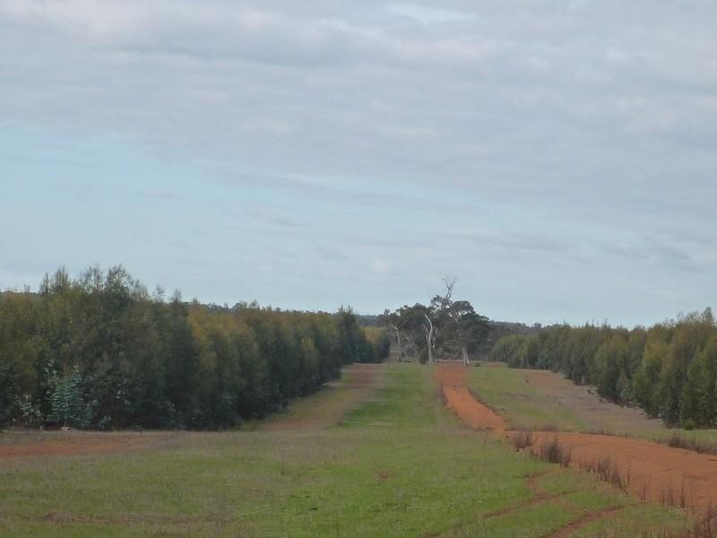 12564 Yarnup Road, Rocky Gully WA 6397