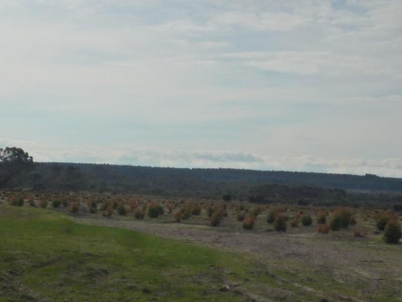 12564 Yarnup Road, Rocky Gully WA 6397