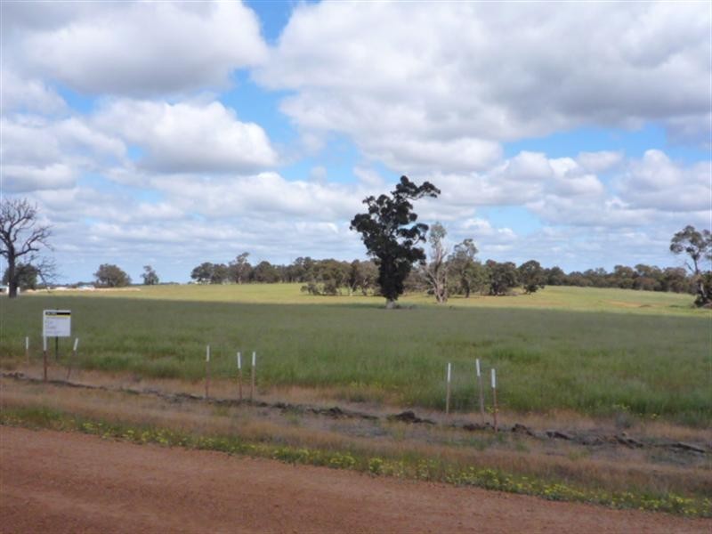 Lot 31 Frankland Tree Farm, Frankland WA 6396