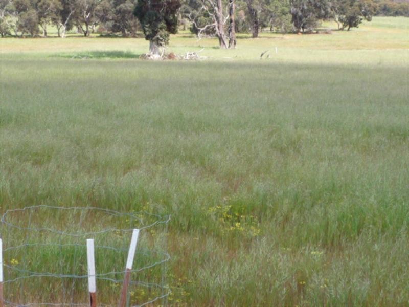 Lot 31 Frankland Tree Farm, Frankland WA 6396