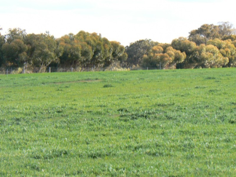 Kendenup WA 6323