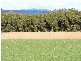 Kendenup WA 6323