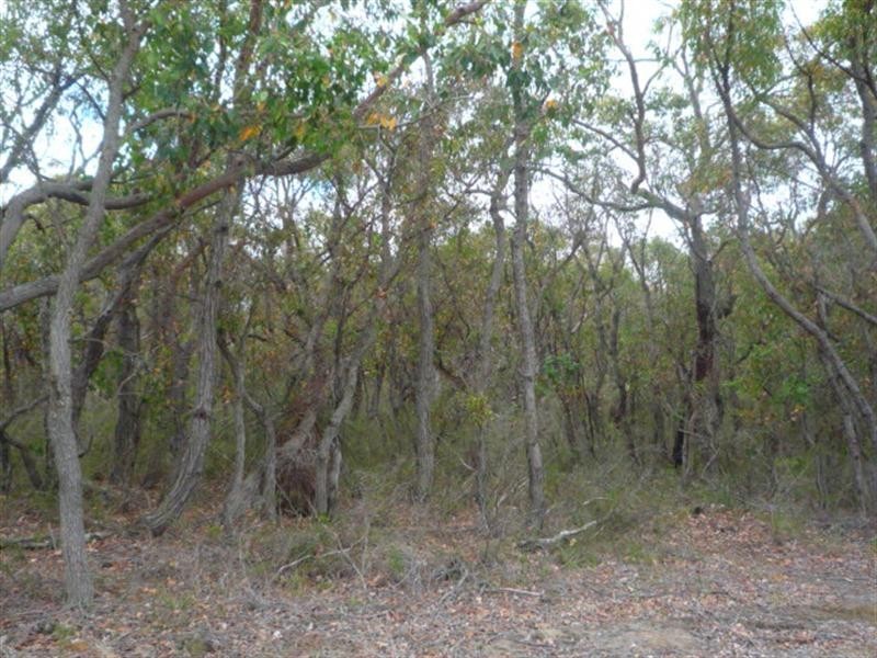 Lot 58 Mokare Rise, Mount Barker WA 6324