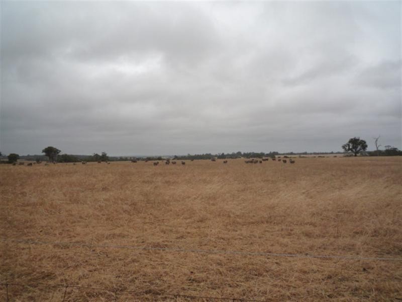 Lot 303 DePledge Road, Kendenup WA 6323