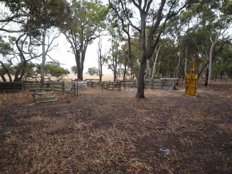 Lot 303 DePledge Road, Kendenup WA 6323