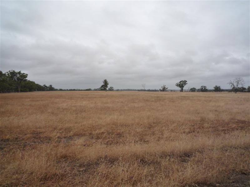Lot 303 DePledge Road, Kendenup WA 6323