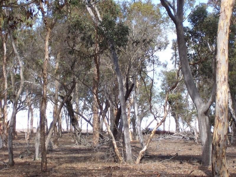 Lot 303 DePledge Road, Kendenup WA 6323