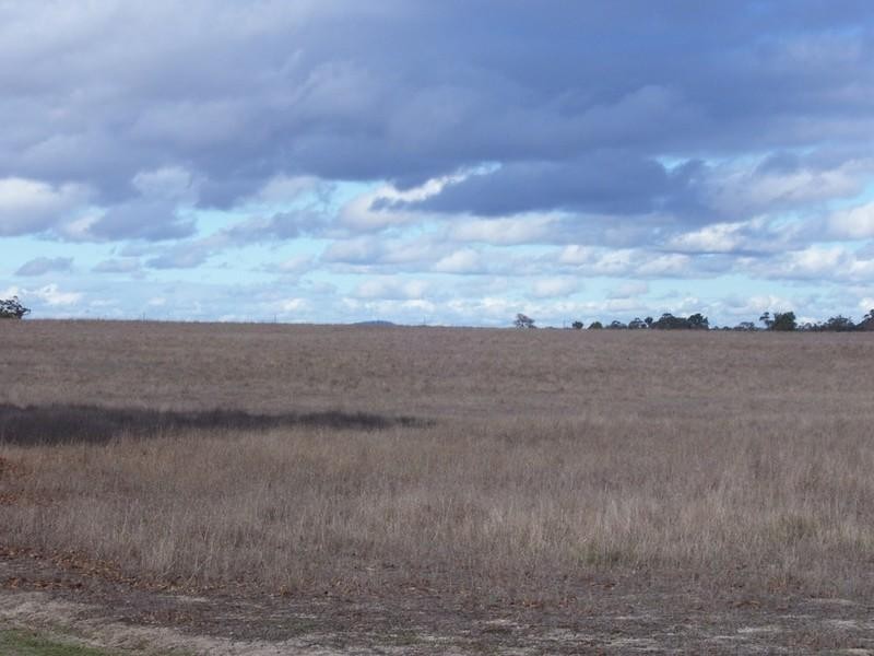 Lot 303 DePledge Road, Kendenup WA 6323