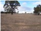Lot 303 DePledge Road, Kendenup WA 6323