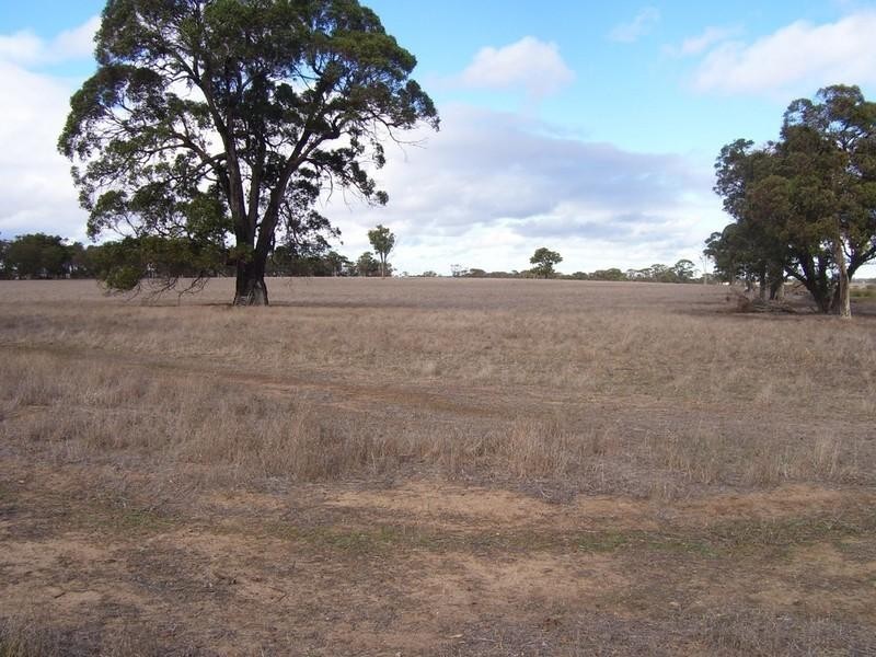 Lot 303 DePledge Road, Kendenup WA 6323