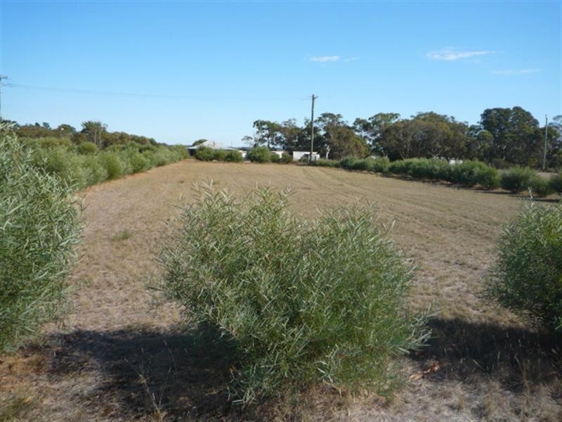 Lot 944 Beverley Road, Kendenup WA 6323