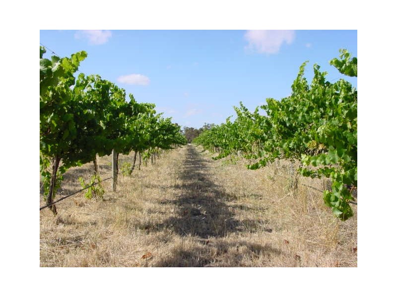 Mount Barker WA 6324